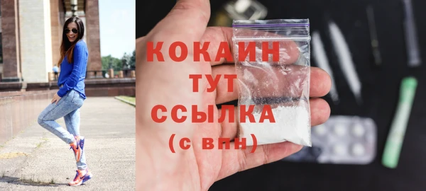 ECSTASY Богородицк