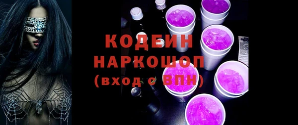 ГАЛЛЮЦИНОГЕННЫЕ ГРИБЫ Богданович