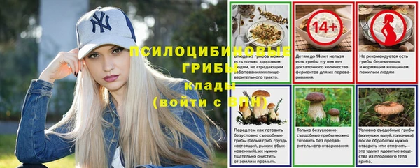 винт Богородск