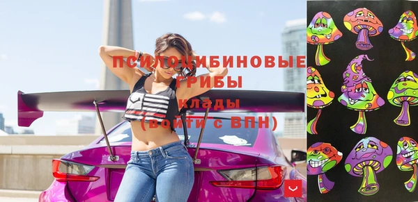 ГАЛЛЮЦИНОГЕННЫЕ ГРИБЫ Богданович