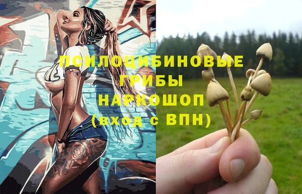 винт Богородск