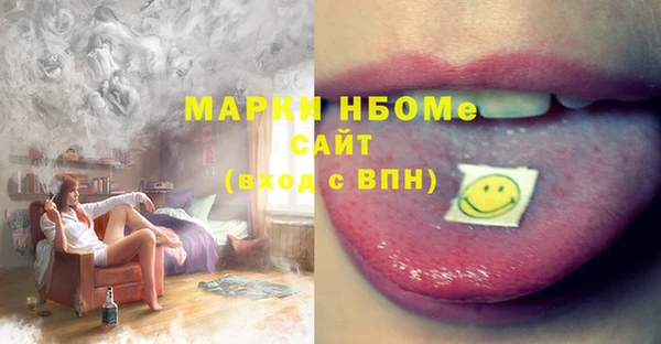 ECSTASY Богородицк