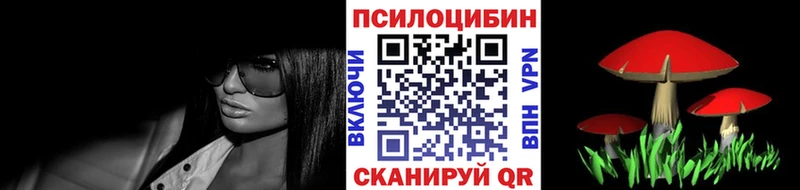 Галлюциногенные грибы Psilocybe  Балашов 